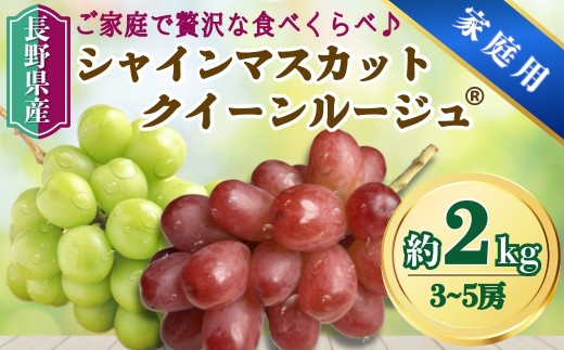 【2026年先行予約】家庭用　シャインマスカット＆クイーンルージュ® 約2kg(3~５房)｜ 果物 フルーツ 白ぶどう 赤ぶどう 葡萄 ブドウ 種無し 種なし 皮ごと 千曲市 長野県 信州
