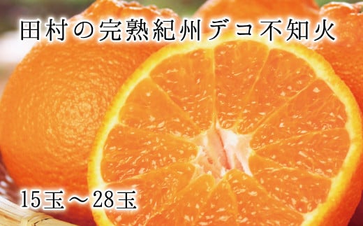 高級ブランド田村の完熟紀州デコ(不知火)　※2026年2月下旬頃～3月中旬頃に順次発送予定(お届け日指定不可)【uot731】