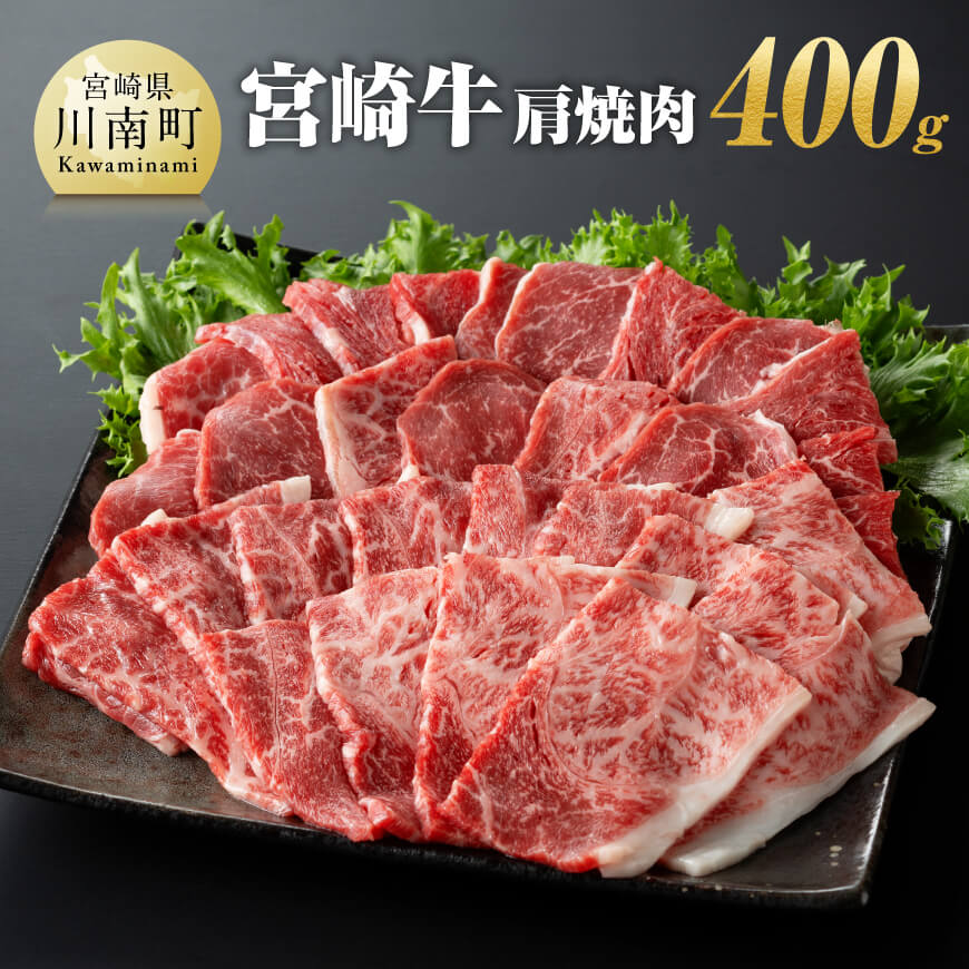 宮崎牛肩焼肉400g　牛肉 宮崎牛[E11003]