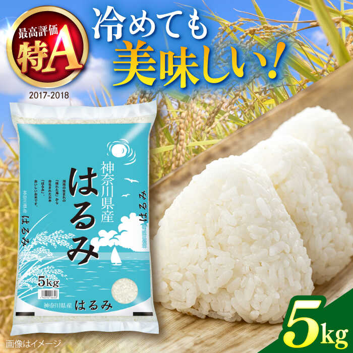 【ふるさと納税】【数量限定】令和6年産 お米 はるみ 5kg 米 お米 こめ おこめ コメ さっぱり 粘り うま味 精米 はるみ 神奈川県 神奈川【株式会社ヨコショク】[AKGC001]