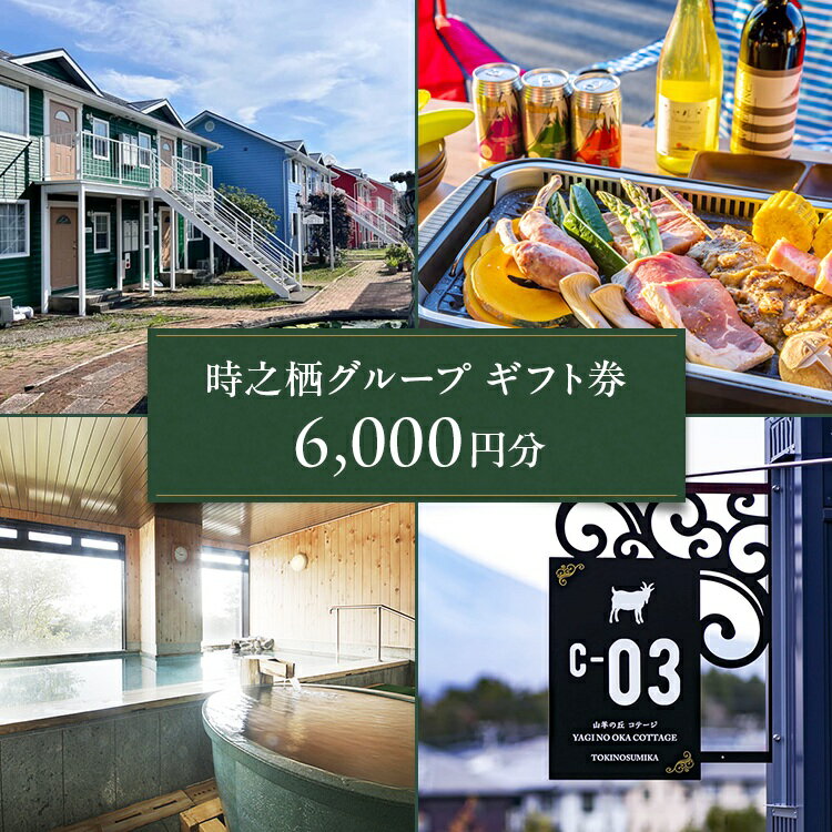 【ふるさと納税】時之栖グループギフト券（6,000円分）【チケット　宿泊　食事　体験　トラベル　利用券】