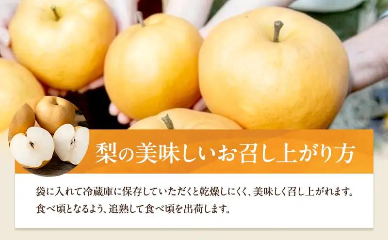 梨 フルーツ 備前横綱梨 あたご梨 岡山県産 梨【2玉 1玉1～1.4kg】