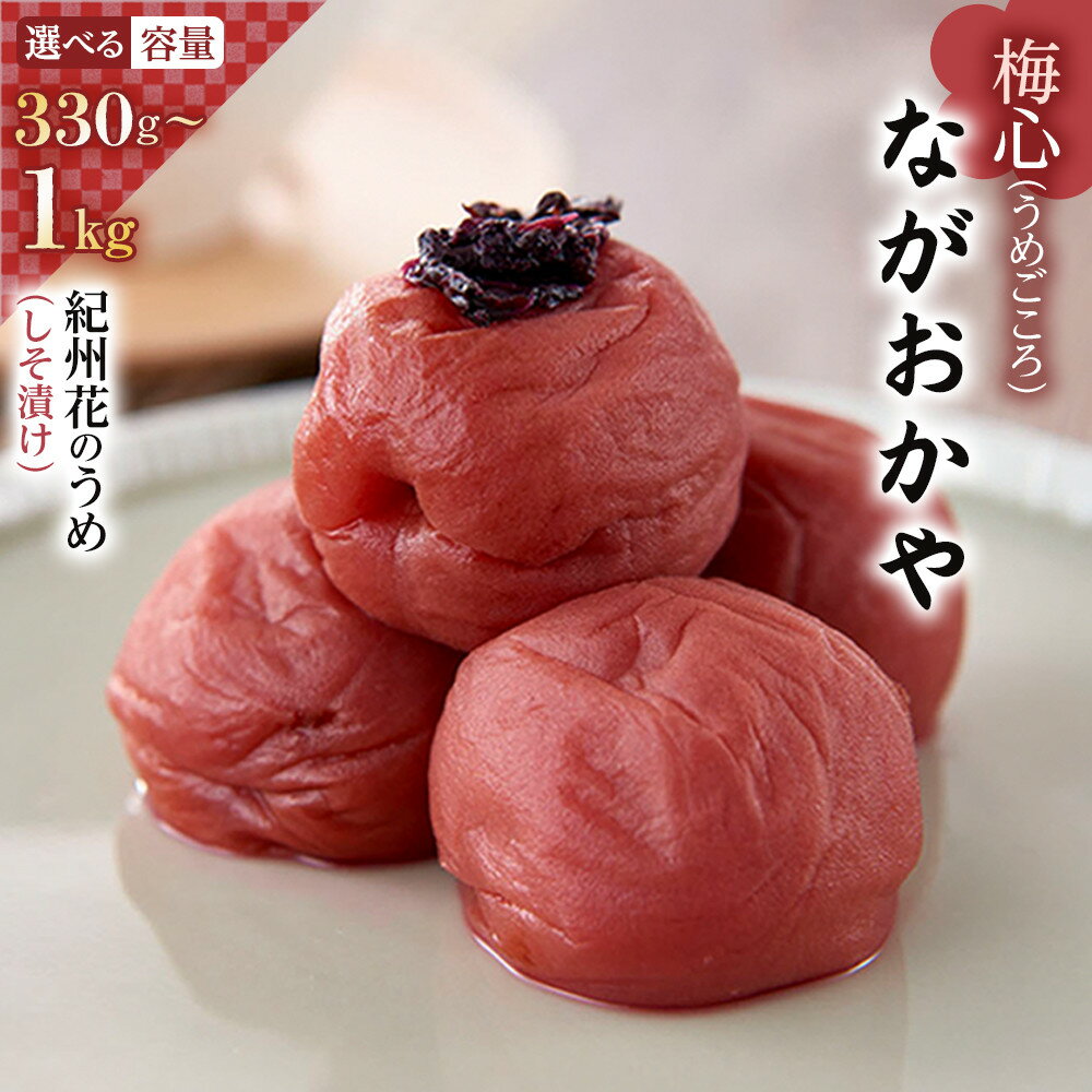 【ふるさと納税】梅干し 梅干 梅心 うめごころ ながおかや 紀州花のうめ しそ梅 330g | 和歌山 グルメ お取り寄せ 梅 うめ ウメ お取り寄せグルメ 梅干し しそ梅干し 紀州南高梅