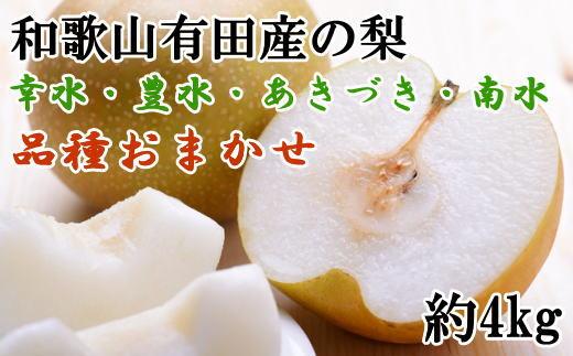 【産直】和歌山有田産の梨約4kg（品種おまかせ）★2026年8月上旬頃より順次発送