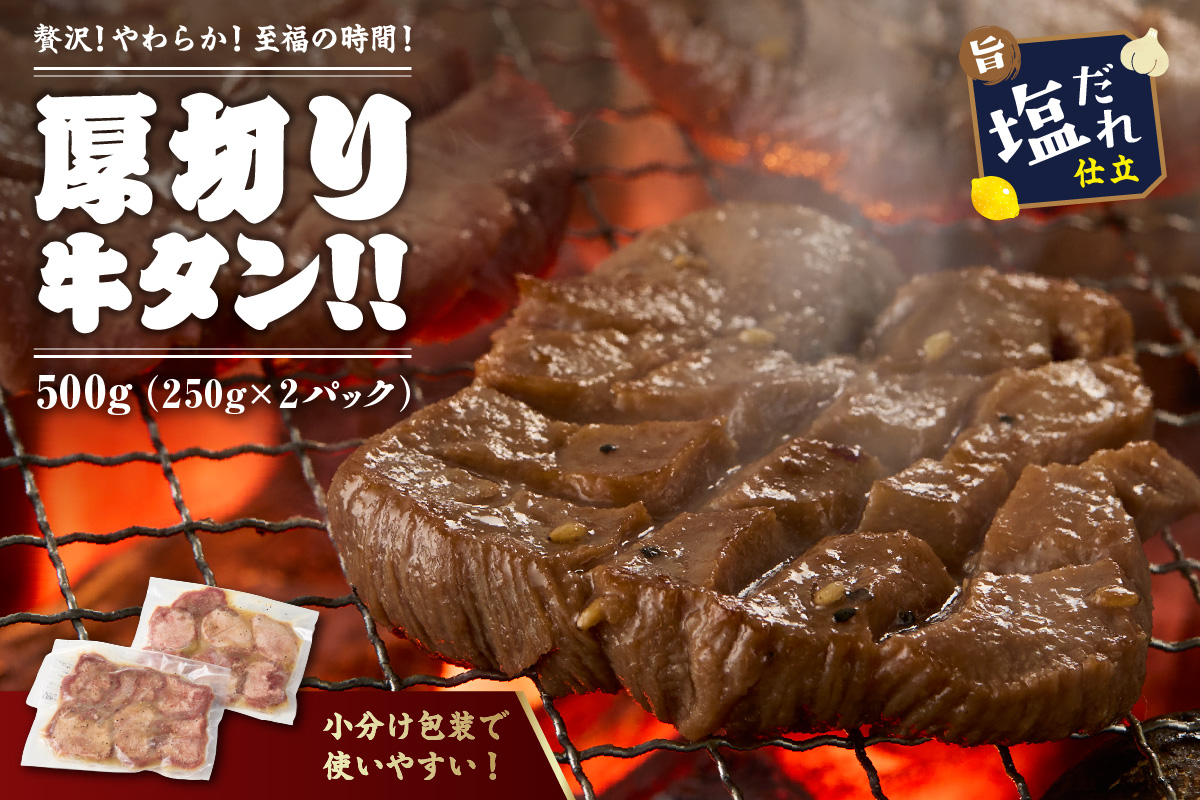 【訳あり】贅沢！やわらか！至福の時間！！厚切り塩だれ牛タン！！500g（250g×2パック） ふるさと納税 牛たん 厚切り 塩だれ 小分け ふるさと納税 牛タン 訳あり 牛肉 焼肉 味付け 不揃い タン 冷凍　YK00464_09e