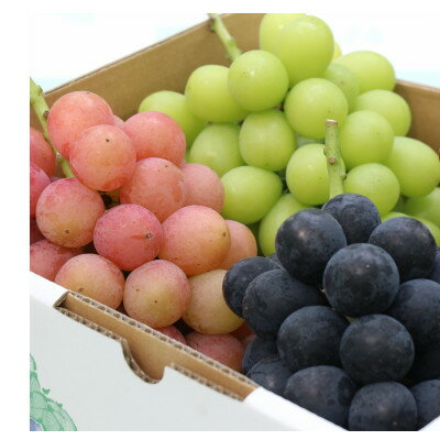 【ふるさと納税】【吉岡町小倉ぶどう郷】旬を味わう!ぶどう詰め合わせセット2kg(3房)【配送不可地域：離島】【1319805】