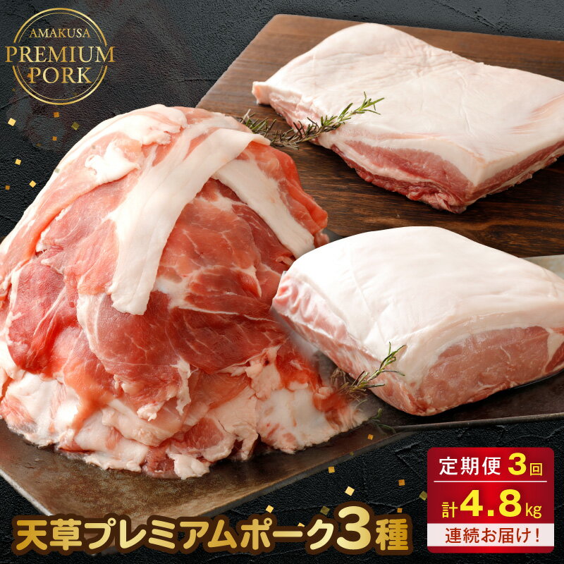 【ふるさと納税】天草プレミアムポーク 3種 定期便 3回 計約4.8kg 豚バラ 豚こま切れ 豚ロース ブロック ブランド豚 真空パック 豚肉 豚 セット 柔らかい 肉質 あっさり 脂 ほのかな 甘み お取り寄せ 熊本県 天草市 送料無料