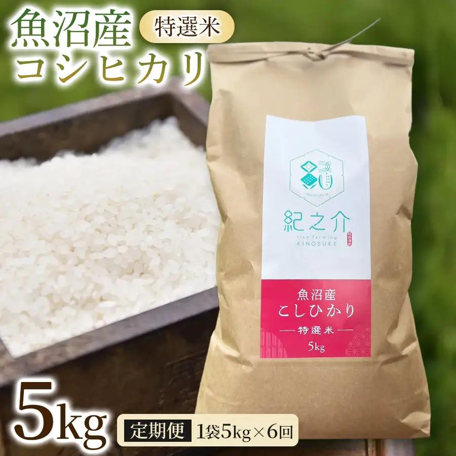 【令和8年産先行予約】【6ヶ月定期便】魚沼産コシヒカリ 特選米 5kg(5kg×1袋) | 津南町 魚沼