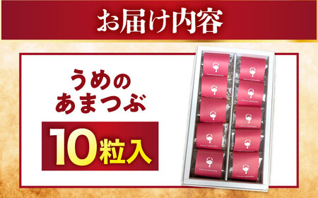 福井県産 梅グラッセ うめのあまつぶ 10粒入 / 紅映梅使用 上品な甘酸っぱさ 梅 ウメ 小浜市 / アップ・トゥ・ユウ[BFAU007]