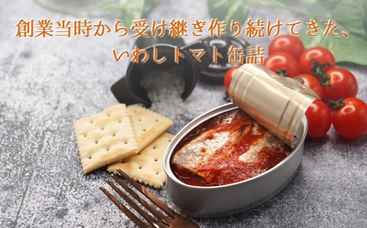 缶詰工場直送 「旬ほとぎ」イワシ缶＆アジ南蛮漬缶　5種類の味わい15缶【B2-155】 ふるさと納税 アジ缶 イワシ缶 缶詰 イワシ アジ 南蛮漬 いわし ご飯のお供 非常食 保存食 送料無料