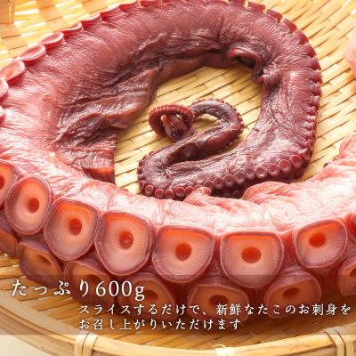 ふるさと納税 余市町 北海道産 やわらか煮 たこ足(約600g)<菊地水産>_Y020-0428 |  | 01