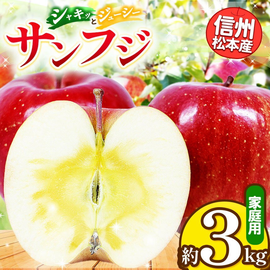 【ふるさと納税】【先行受付】信州松本産　サンふじ　約3kg 家庭用（訳あり品） │ 林檎 りんご リンゴ サンふじ 果汁 果物 貴重 くだもの フルーツ 自然 旬 ご褒美 長野県 信州 松本 ふるさと納税