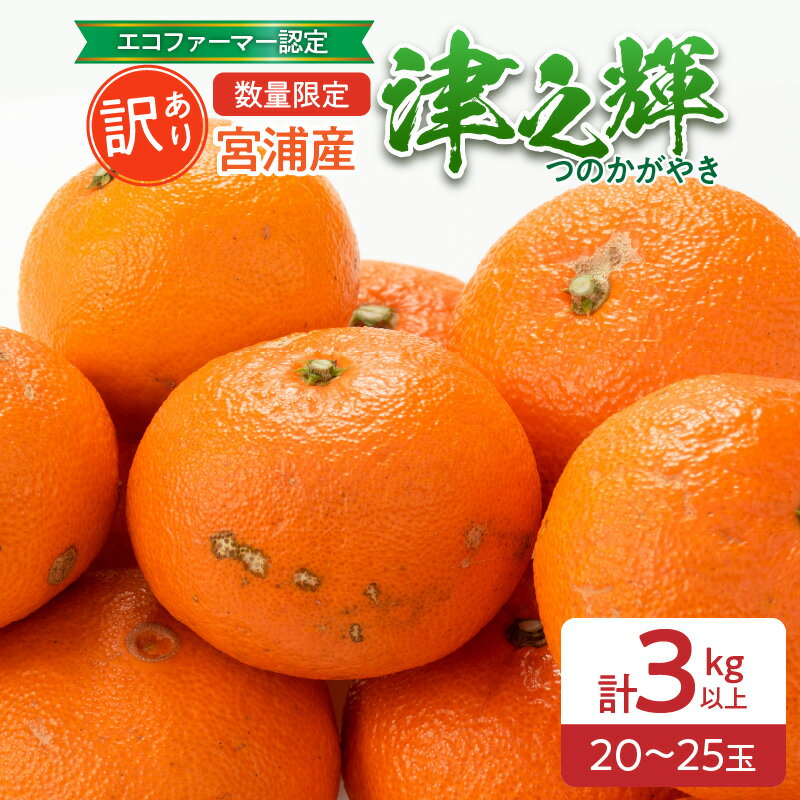 【ふるさと納税】訳あり 津之輝 計3kg以上 先行予約 令和8年発送 期間限定 数量限定 国産 食品 果物 くだもの フルーツ 柑橘 みかん 不揃い S M L 混合 傷 わけあり デザート おやつ ジュース 家庭用 おすそ分け おすすめ つのかがやき 濃厚 常温 宮崎県 日南市 送料無料