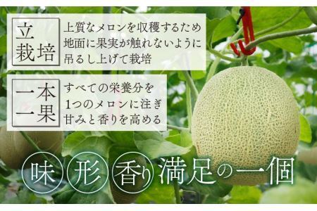 勝山産アールスメロン 2個入り（赤肉・青肉セット） ※2026年7月下旬以降順次発送 [A-060007]