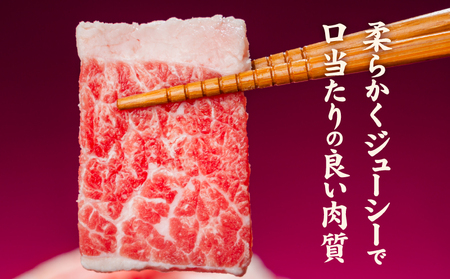 【カルビ】 牛肉 カルビ スライス バラ凍結 3kg インジェクション加工 【NGB008】