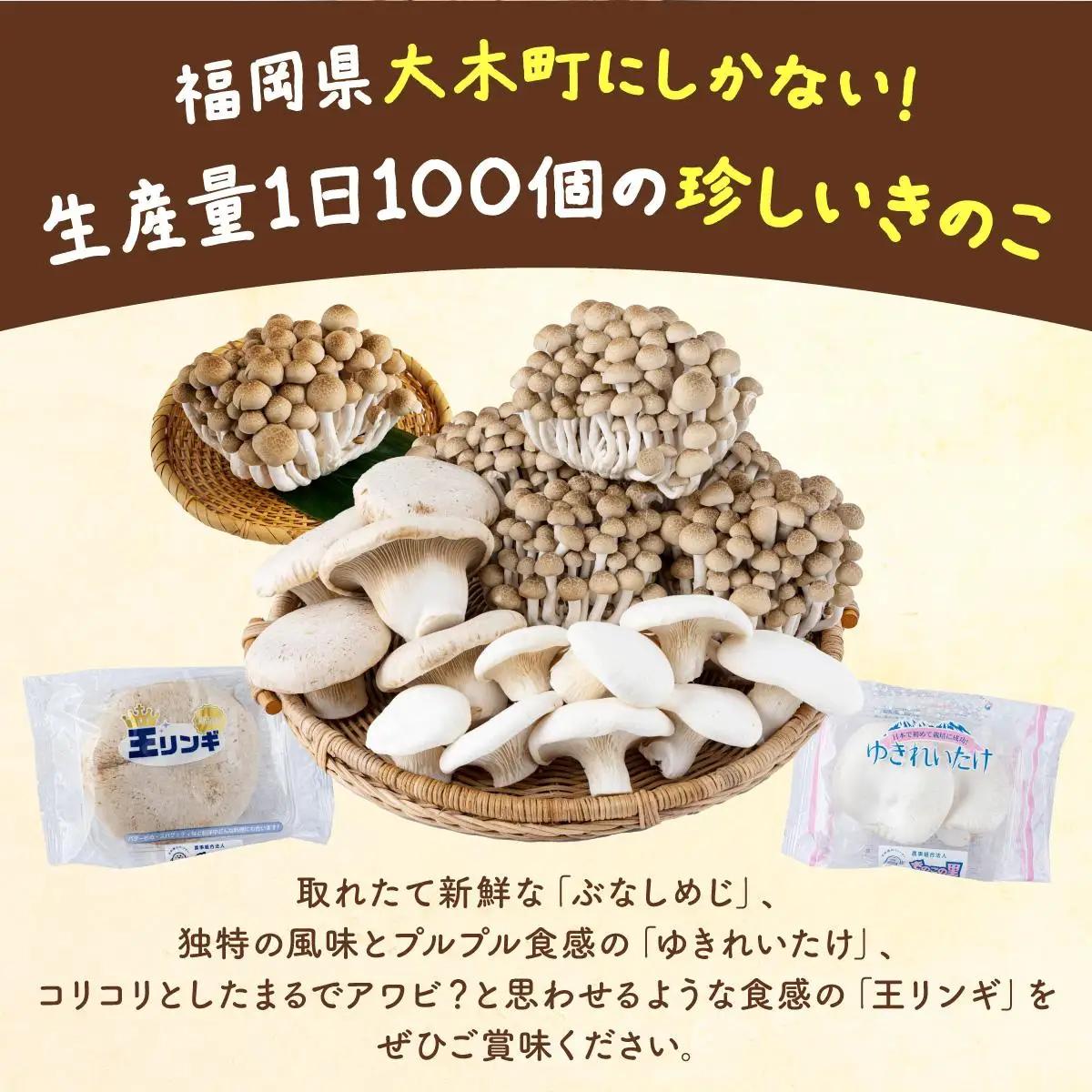食欲の秋！きのこの詰め合わせ(ぶなしめじ・ゆきれいたけ・王リンギ各5パック)　AT17