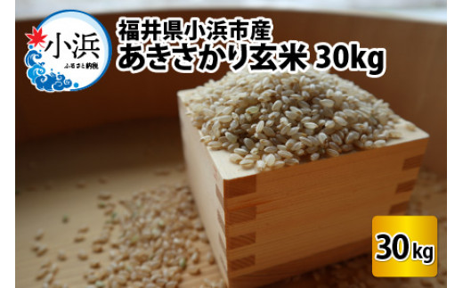 【令和8年産】 福井県産 あきさかり 玄米 30kg 若狭の恵 [BFAG015]