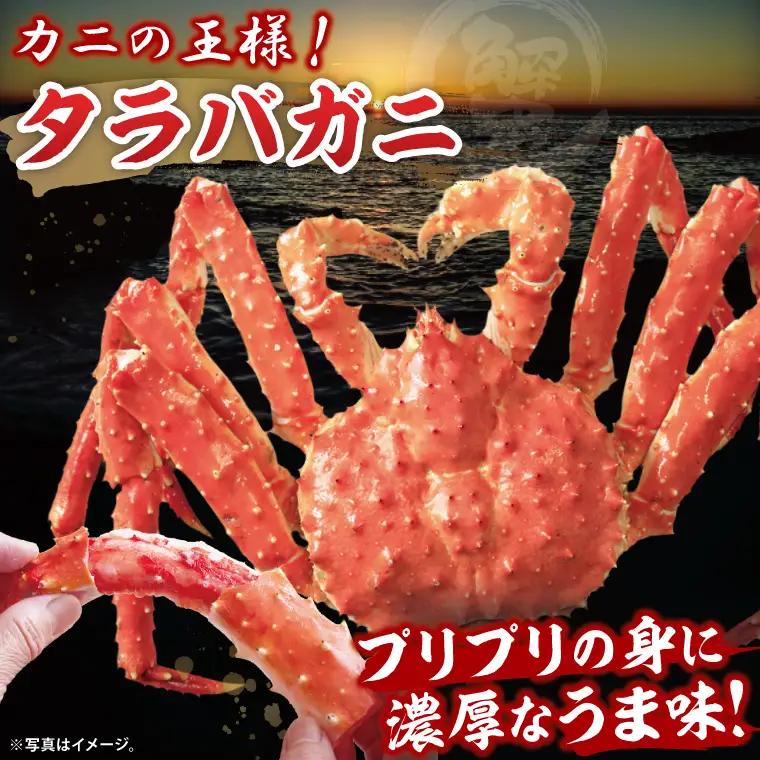 ボイル たらばがに 半剥き身 総重量1.9ｋｇ（内容量1.7ｋｇ） かに ハーフポーション_EO004