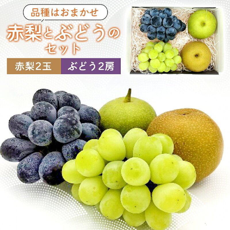 【ふるさと納税】 先行予約 赤梨とぶどうのセット 赤梨 2玉 ぶどう 2房 詰め合わせ 巨峰 ピオーネ シャインマスカット くだもの 果物 季節限定 数量限定