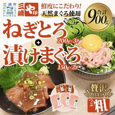 ふるさと納税 三浦市 【三崎港直送!】お手軽・かんたん!天然マグロ漬け×本格ねぎとろセット
