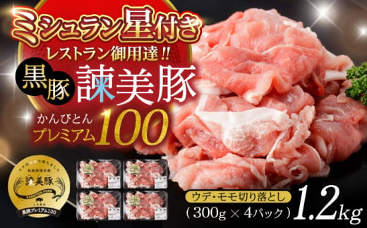 黒豚諫美豚プレミアム100 切り落とし 計1.2kg（300g×4P）/ 豚 豚肉 黒豚 切り落とし 小分け / 諫早市 / 株式会社土井農場 [AHAD046]