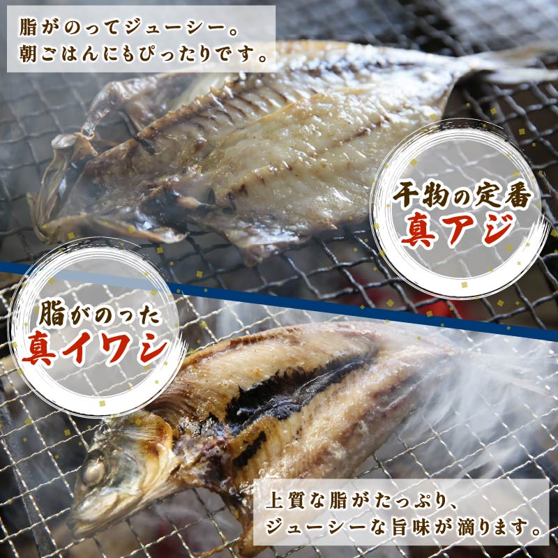 干物 伊豆 下田 ひもの万宝 の 一夜干し 詰め合わせ 地金目鯛 イカ 入り 6枚 セット 詰合せ 干物セット 下田地金目鯛 金目鯛 真アジ いわし 真イワシ いか 塩干し 金目鯛 きんめだい キンメ
