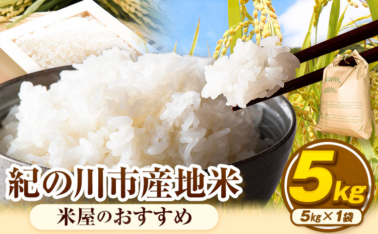 
                  令和7年産 紀の川市産地米 5kg (米屋のおすすめ) 上野商店 《30日以内に出荷予定(土日祝除く)》和歌山県 紀の川市 米 白米 品種指定なし
                