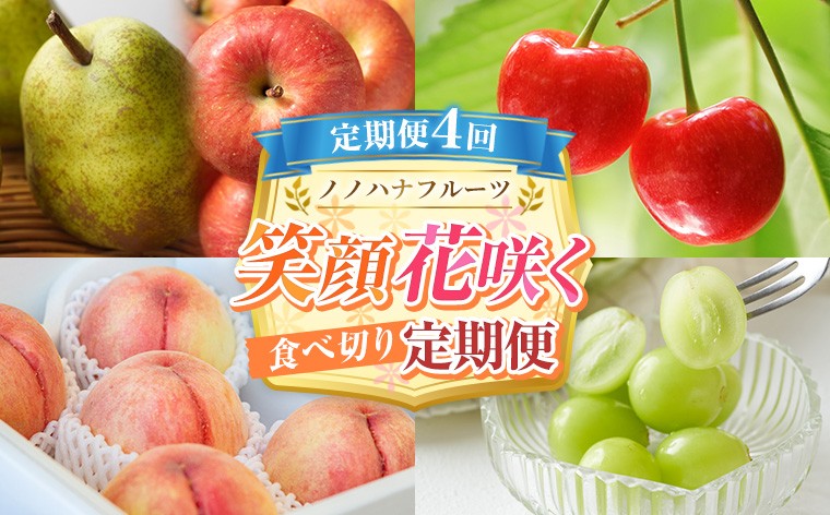 
                  【定期便4回】ノノハナフルーツ 笑顔花咲く 食べ切り定期便  FY26-232
                