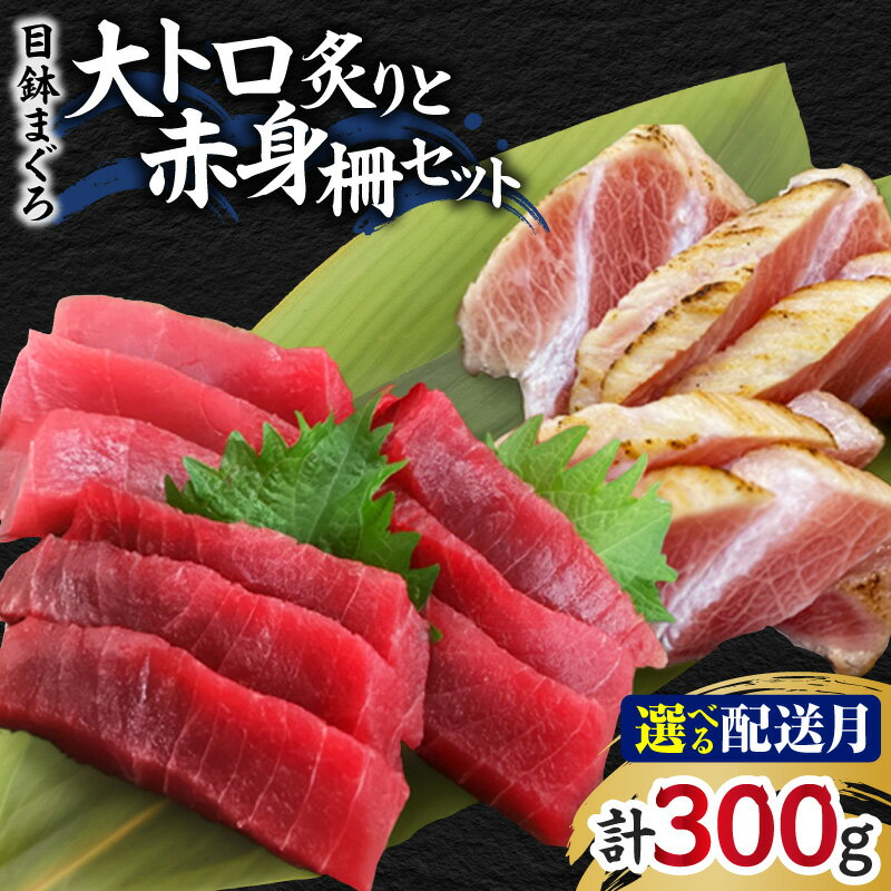 【ふるさと納税】＜選べる配送時期＞ 目鉢まぐろ 大トロ炙りと赤身柵セット 300g まぐろ マグロ 鮪 大トロ トロ メバチマグロ 赤身 刺身 三崎 三崎港 海鮮 魚 魚介 母の日 父の日 敬老の日 湊魚問屋 神奈川 三浦市 おすすめ ランキング プレゼント ギフト
