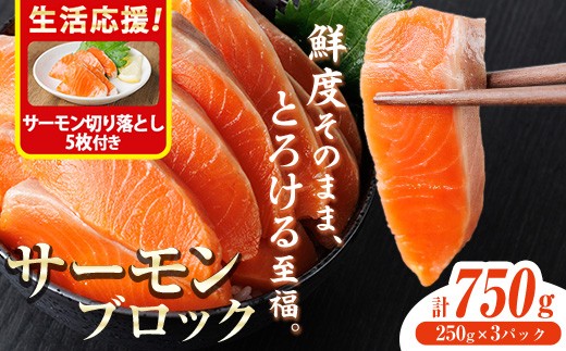 
            生食用 サーモン ブロック(計750g・250g×3P) 鮭 小分け 真空 パック 冷凍 刺身 シャケ サケ 魚 魚介 【AW-99】【丸正水産】
          