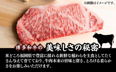博多和牛サーロインステーキセット 500g（250g × 2枚）【株式会社Meat Plus】《豊前市》肉 ステーキ サーロイン[VBB011] ステーキ サーロインステーキ 博多和牛ステーキ 絶品ス