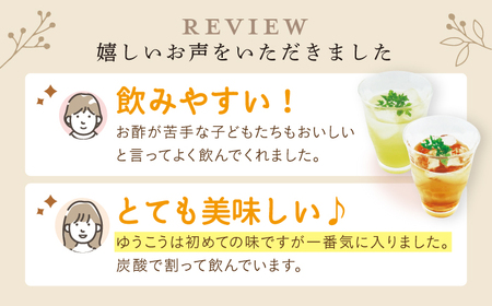 【飲む玄米酢】酢らり 3本セット（うめ・いちご・ゆうこう）＜川添酢造＞[CDN128]