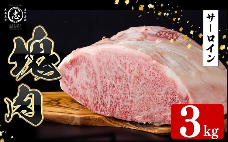 塊肉シリーズ サーロイン 計3kg(3kg×1個) wb84-001