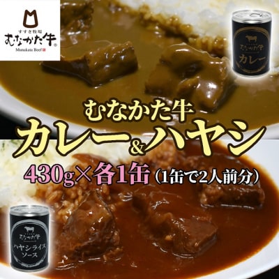 むなかた牛 金のカレー&銀のハヤシ 食べ比べセット(各1缶)【すすき牧場】_HA1271