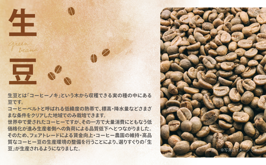 ミチフク珈琲（ブレンド）
