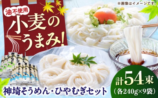 神埼そうめん・ひやむぎセット / 乾麺 麺 麺類 素麺 冷や麦 ソウメン ヒヤムギ / 佐賀県 / 神埼そうめん協同組合 [41AJAD001]