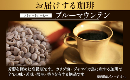 マウンテン珈琲 飲み比べ 200g 挽＆古墳珈琲 ドリップバッグ 1袋 株式会社ばいせん工房 珈琲倶楽部《30日以内に出荷予定(土日祝除く)》大阪府 羽曳野市 コーヒー ブルーマウンテンブレンド エメ