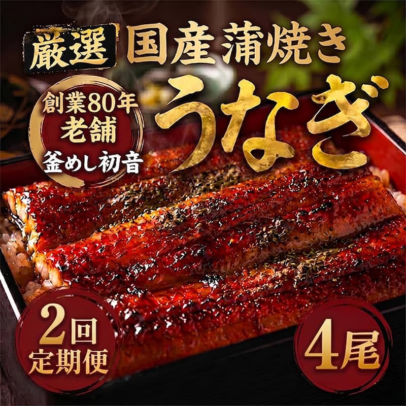 【ふるさと納税】 定期便 2回 国産 うなぎ かば焼き 4尾 （ 1本約190g〜220g ） 70年つぎ足しの秘伝のたれ 初音の 厳選 高知県産 うなぎ 蒲焼き タレ付き ウナギ 鰻 国産 魚 魚介類 冷凍 海鮮 土曜 丑の日 土曜の丑の日 うな重 うな丼 人気 おすすめ 頒布会 高知県産 室戸市