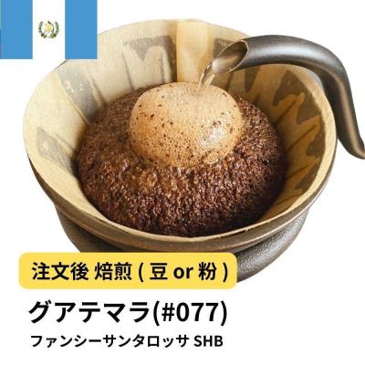 ふるさと納税 堺市 【豆】コーヒー #077 グアテマラ ファンシーサンタロッサ SHB 310g