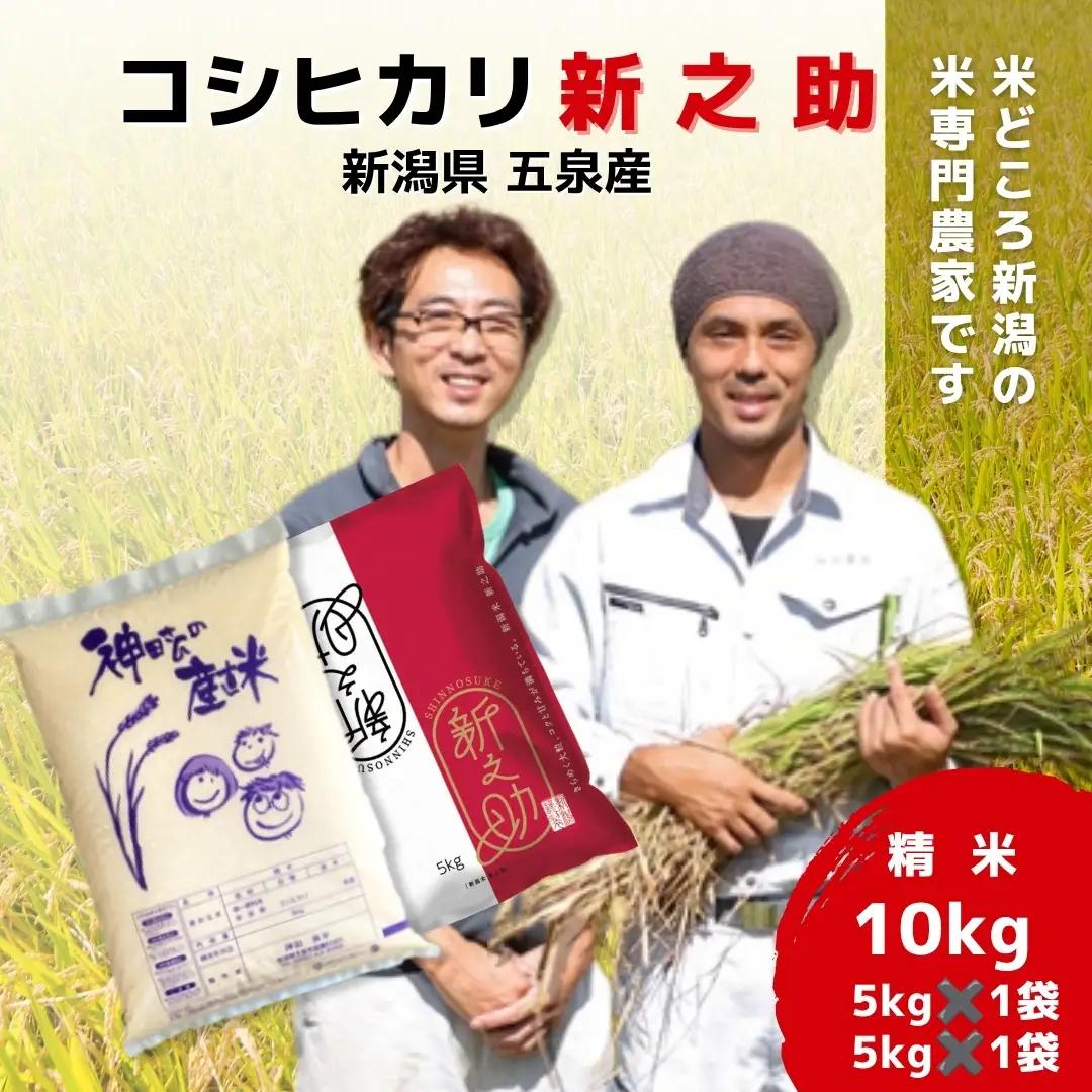 【先行予約】令和8年産 コシヒカリ 5kg 新之助 5kg わくわく農場 こしひかり | 新潟県 五泉市 コシヒカリ