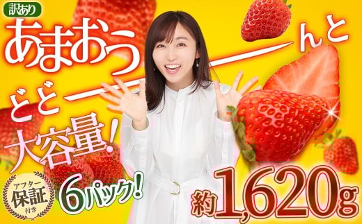 【福岡県産 あまおう】テレビ 「 ヒルナンデス 」 で紹介されました！ 訳あり グランデ 約 270g 前後 × 6パック ふるさと納税 あまおう いちご イチゴ 苺 博多 赤村 あまおう  果物 くだもの フルーツ ジャム にも ケーキ にも 先行予約 数量限定 ふるさと ランキング 人気 おすすめ 福岡 TV紹介 送料無料 3W13