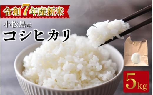 【2025年12月発送】米 コシヒカリ5kg  米 白米 精米 こめ お米 産地直送 選べるお届け月 おすすめ 人気 備蓄 ご飯 ごはん 小松島 コシヒカリ