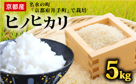【先行受付】ヒノヒカリ 5kg 令和7年産 京都府産 新米 【 米 】