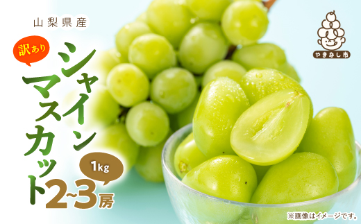 
                  ＜訳あり＞ 池田青果のシャインマスカット2房　1kg ふるさと納税【1544089】
                