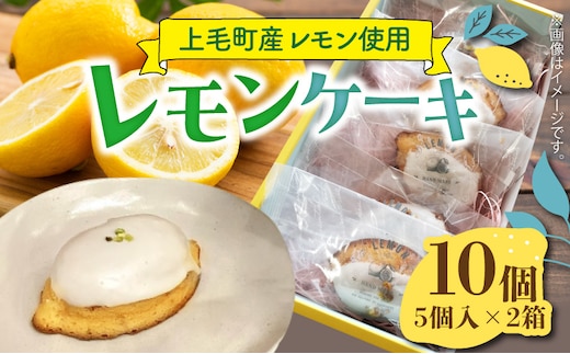 
										
										【ナチュラルファーム菓樹】レモンケーキ 10個（5個入×2箱）～上毛町産レモン使用～ NK1106
									