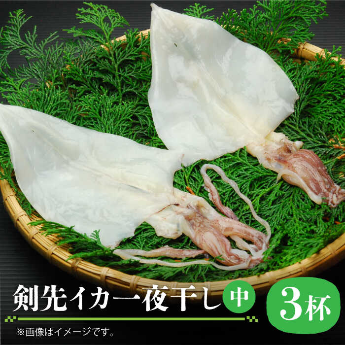 【ふるさと納税】剣先イカ 一夜干（中）3杯《壱岐市》【株式会社マルショウ】[JEW006] いか イカ 剣先いか セット おつまみ 一夜干し 海産物 魚介 刺し身 17000 17000円 冷凍配送