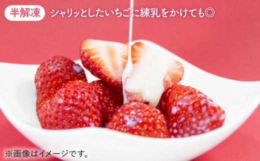 【先行予約】【贅沢2種食べ比べ】白石産冷凍いちご（さがほのか・パールホワイト）750g【ハヤシダファーム】 [IAQ001]