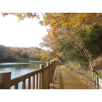 〈1組限定〉けいはんな記念公園ガイド　−季節の里山と生き物−【1209253】