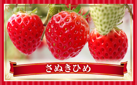 季節の恵み3回定期便A_mk165-t016
