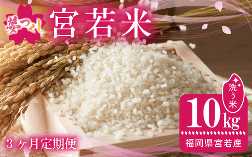 【3ヶ月連続定期便】令和7年産 夢つくし 精米 10kg〔5kg×2袋〕×3ヶ月 [M921-2] ごはん コメ ご飯 精米 白米 ブランド米